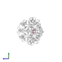 COBALT (II) ION in PDB entry 3uf9, assembly 2, side view.