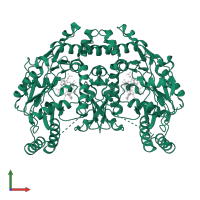 Nitric oxide synthase 1 in PDB entry 3ufw, assembly 1, front view.