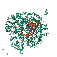 PDB entry 3uiq coloured by chain, front view.