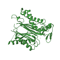 The deposited structure of PDB entry 3ujl contains 1 copy of CATH domain 3.60.40.10 (Phosphatase 2c; domain 1) in Protein phosphatase 2C 77. Showing 1 copy in chain B.