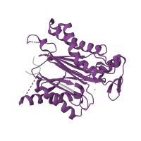 The deposited structure of PDB entry 3ujl contains 1 copy of Pfam domain PF00481 (Protein phosphatase 2C) in Protein phosphatase 2C 77. Showing 1 copy in chain B.