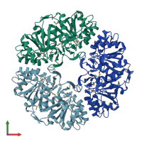 PDB entry 3uk7 coloured by chain, front view.