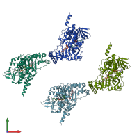 PDB entry 3ukq coloured by chain, front view.