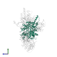 Actin-related protein 3 in PDB entry 3ukr, assembly 1, side view.