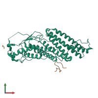 PDB entry 3uly coloured by chain, front view.