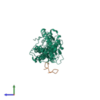 PDB entry 3uly coloured by chain, side view.