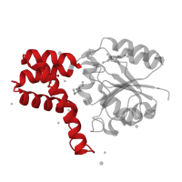 The deposited structure of PDB entry 3umb contains 1 copy of CATH domain 1.10.150.240 (DNA polymerase; domain 1) in (S)-2-haloacid dehalogenase. Showing 1 copy in chain A.