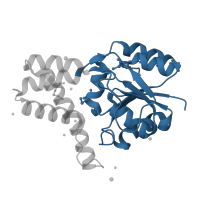 The deposited structure of PDB entry 3umb contains 1 copy of CATH domain 3.40.50.1000 (Rossmann fold) in (S)-2-haloacid dehalogenase. Showing 1 copy in chain A.