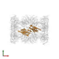 Proteasome subunit beta type-9 in PDB entry 3unf, assembly 1, front view.