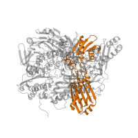 The deposited structure of PDB entry 3uni contains 2 copies of Pfam domain PF02738 (Molybdopterin cofactor-binding domain) in Xanthine dehydrogenase/oxidase. Showing 1 copy in chain A.