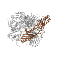 The deposited structure of PDB entry 3uni contains 2 copies of Pfam domain PF20256 (Molybdopterin cofactor-binding domain) in Xanthine dehydrogenase/oxidase. Showing 1 copy in chain A.