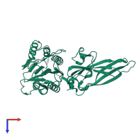 Mucosa-associated lymphoid tissue lymphoma translocation protein 1 in PDB entry 3uo8, assembly 1, top view.