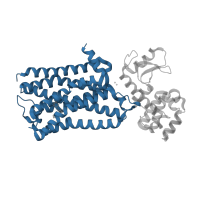 The deposited structure of PDB entry 3uon contains 1 copy of CATH domain 1.20.1070.10 (Rhopdopsin 7-helix transmembrane proteins) in Endolysin. Showing 1 copy in chain A.