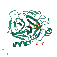 PDB entry 3uop coloured by chain, front view.
