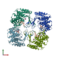 PDB entry 3uqd coloured by chain, front view.