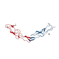 The deposited structure of PDB entry 3urf contains 2 copies of CATH domain 2.10.50.10 (Tumor Necrosis Factor Receptor, subunit A; domain 2) in Tumor necrosis factor receptor superfamily member 11B. Showing 2 copies in chain B [auth Z].