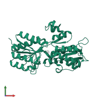 Multiple sugar-binding periplasmic receptor ChvE in PDB entry 3urm, assembly 1, front view.