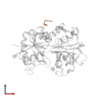 Lactotransferrin in PDB entry 3usd, assembly 1, front view.