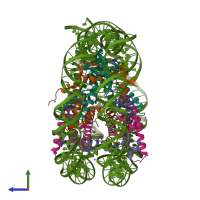 Hetero decameric assembly 1 of PDB entry 3utb coloured by chemically distinct molecules, side view.