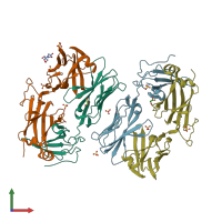 PDB entry 3utp coloured by chain, front view.