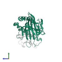 HLA class I histocompatibility antigen, A alpha chain in PDB entry 3utq, assembly 1, side view.