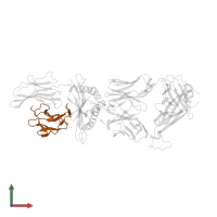 Beta-2-microglobulin in PDB entry 3uts, assembly 2, front view.