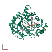 PDB entry 3uwe coloured by chain, front view.