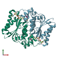 PDB entry 3uxh coloured by chain, front view.