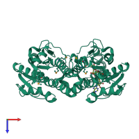 Homo dimeric assembly 2 of PDB entry 3uxy coloured by chemically distinct molecules, top view.
