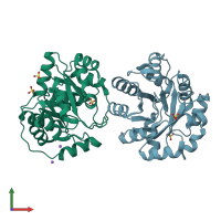 PDB entry 3uy7 coloured by chain, front view.