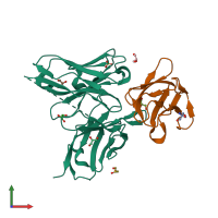 PDB entry 3uyp coloured by chain, front view.