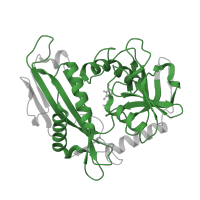 The deposited structure of PDB entry 3uyy contains 2 copies of Pfam domain PF01063 (Amino-transferase class IV) in Branched-chain-amino-acid aminotransferase. Showing 1 copy in chain B.