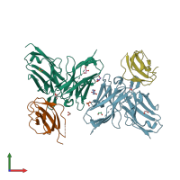 PDB entry 3uze coloured by chain, front view.