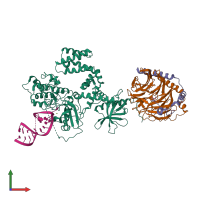 PDB entry 3uzs coloured by chain, front view.