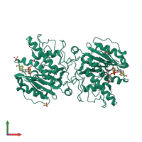 Homo dimeric assembly 1 of PDB entry 3v0n coloured by chemically distinct molecules, front view.