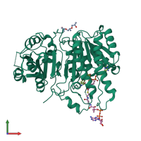 PDB entry 3v1u coloured by chain, front view.