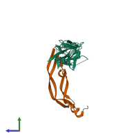 PDB entry 3v2a coloured by chain, side view.