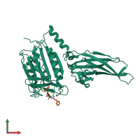 PDB entry 3v4l coloured by chain, front view.