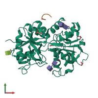 Hetero dimeric assembly 1 of PDB entry 3v5a coloured by chemically distinct molecules, front view.