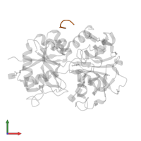 Lactotransferrin in PDB entry 3v5a, assembly 1, front view.