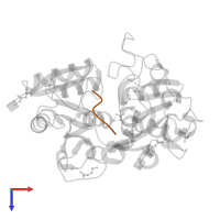 Lactotransferrin in PDB entry 3v5a, assembly 1, top view.