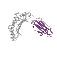 The deposited structure of PDB entry 3v5h contains 2 copies of Pfam domain PF07654 (Immunoglobulin C1-set domain) in HLA class I histocompatibility antigen, A alpha chain. Showing 1 copy in chain A.