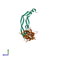 PDB entry 3v6b coloured by chain, side view.