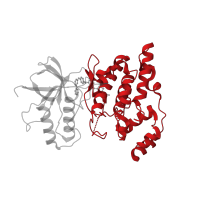 The deposited structure of PDB entry 3v6s contains 2 copies of CATH domain 1.10.510.10 (Transferase(Phosphotransferase); domain 1) in Mitogen-activated protein kinase 10. Showing 1 copy in chain A.