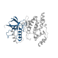 The deposited structure of PDB entry 3v6s contains 2 copies of CATH domain 3.30.200.20 (Phosphorylase Kinase; domain 1) in Mitogen-activated protein kinase 10. Showing 1 copy in chain A.