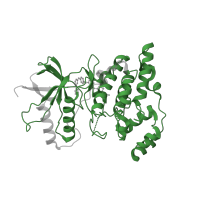 The deposited structure of PDB entry 3v6s contains 2 copies of Pfam domain PF00069 (Protein kinase domain) in Mitogen-activated protein kinase 10. Showing 1 copy in chain A.