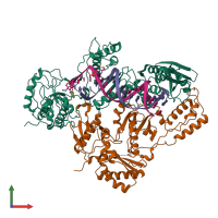 Hetero tetrameric assembly 1 of PDB entry 3v81 coloured by chemically distinct molecules, front view.