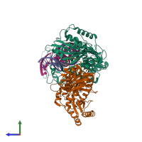 Hetero tetrameric assembly 1 of PDB entry 3v81 coloured by chemically distinct molecules, side view.