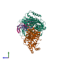 Hetero tetrameric assembly 2 of PDB entry 3v81 coloured by chemically distinct molecules, side view.