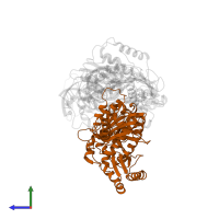 p51 RT in PDB entry 3v81, assembly 1, side view.